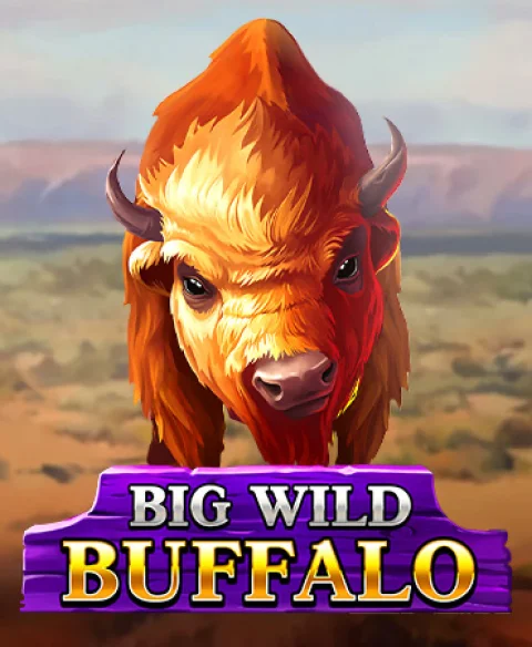 Play Big Wild Buffalo at Pirate Play Casino